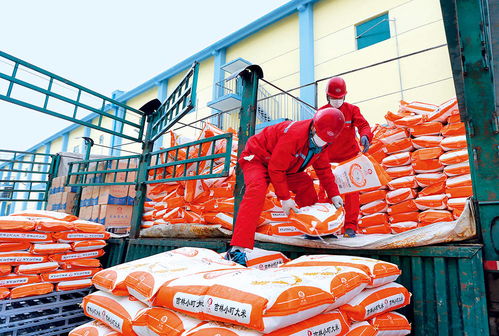 瞭望 扶貧要避免政策沒了,企業(yè)走了,項目黃了 專訪首農(nóng)食品集團董事 首農(nóng)股份公司董事長尹彥勛