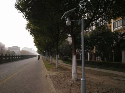 沙浦河邊安裝太陽能路燈進展 顧新路道路監控設施升級 平流霧下的新顧城 沙浦路新裝修永輝生活超市 友誼西路劃道路標識線